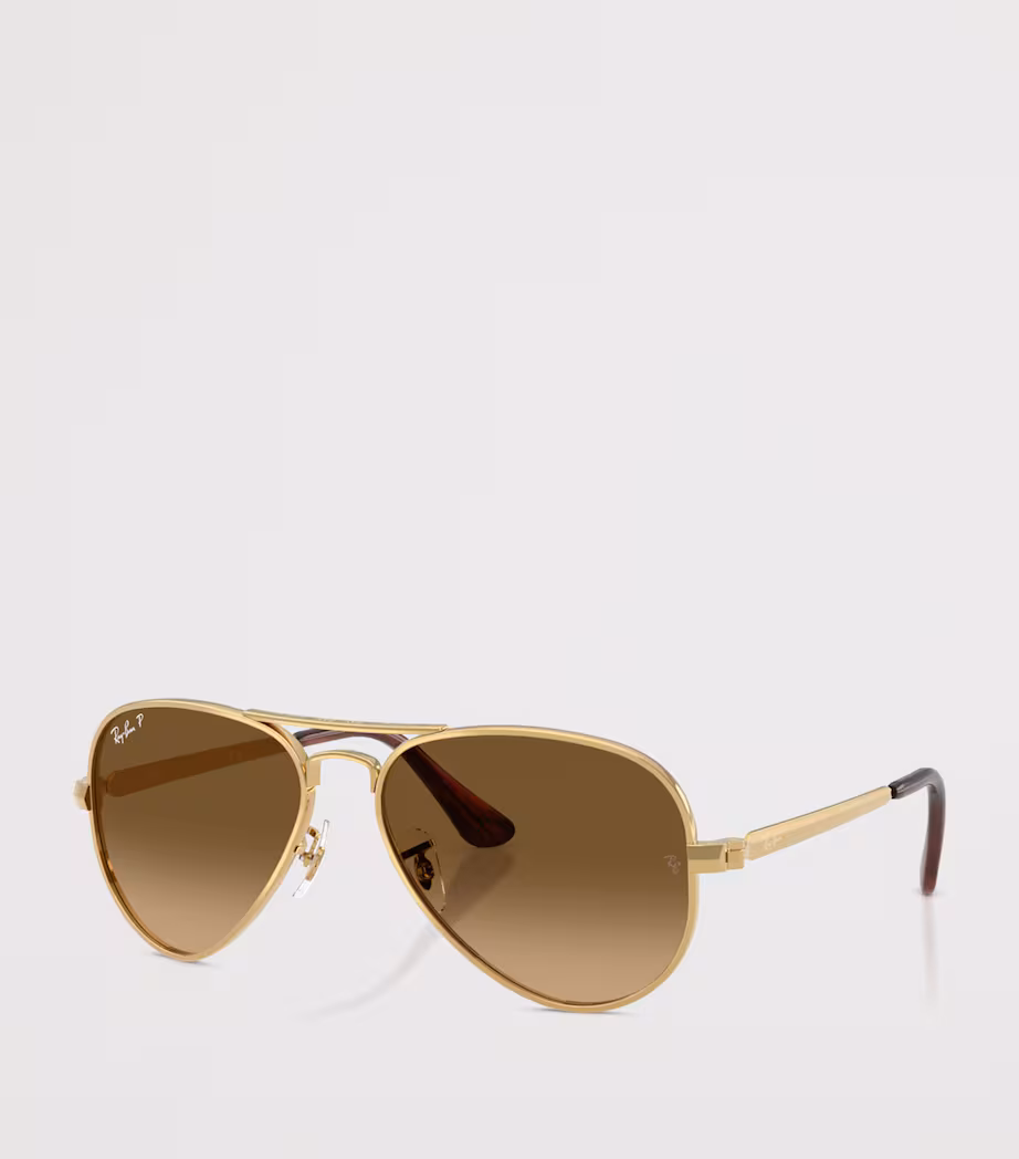 Ray-Ban RB3925 Aviator Max Sunglasses